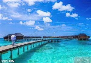 Tranh thiên nhiên biển trang trí treo tường