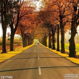 Tranh thiên nhiên con đường mùa thu