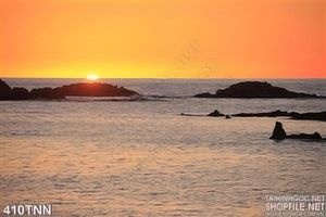 Tranh thiên nhiên trang trí treo tường đẹp