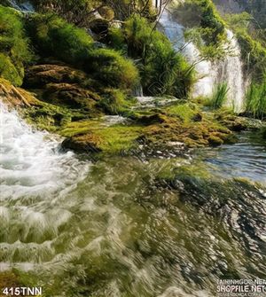 Tranh thiên nhiên trang trí phòng khách đẹp