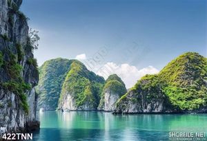 Tranh thiên nhiên vịnh đẹp