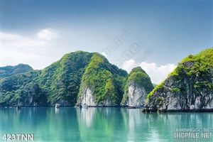 Tranh thiên nhiên trang trí treo tường đẹp