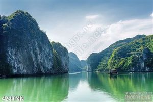 Tranh thiên nhiên đẹp độc đáo
