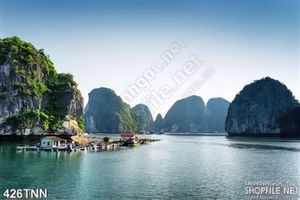 Tranh thiên nhiên đẹp độc đáo
