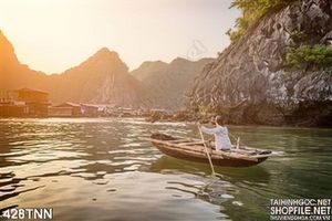Tranh thiên nhiên vịnh đẹp độc đáo