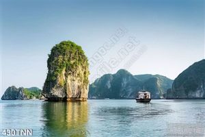 Tranh thiên nhiên vịnh đẹp độc đáo