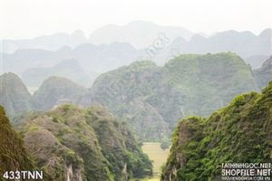 Tranh thiên nhiên trang trí treo tường đẹp
