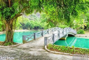 Tranh thiên nhiên trang trí treo tường