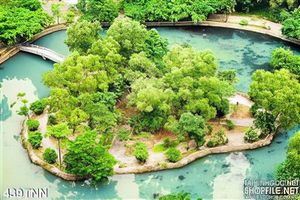 Tranh thiên nhiên đảo xanh