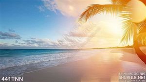 Tranh thiên nhiên biển trang trí treo tường