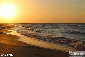 Tranh thiên nhiên biển đẹp độc đáo