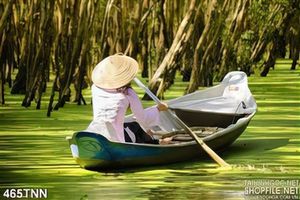 Tranh thiên nhiên sông nước miền Tây