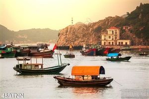 Tranh thiên nhiên trang trí treo tường đẹp