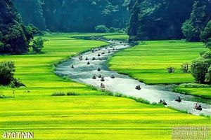 Tranh thiên nhiên thắng cảnh Tràng An Ninh Bình