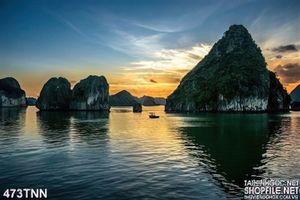 Tranh thiên nhiên đảo trên biển