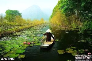 Tranh thiên nhiên hồ hoa sen