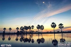 Tranh thiên nhiên thắng cảnh nổi tiếng