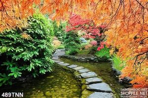 Tranh thiên nhiên mùa thu đẹp độc đáo