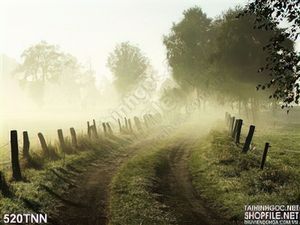 Tranh thiên nhiên vào buổi sáng trang trí tường