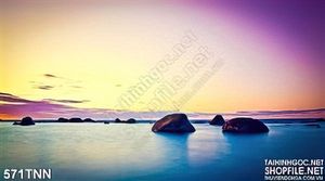 Tranh thiên nhiên đẹp độc đáo