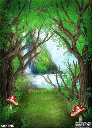 Tranh thiên nhiên rừng treo tường phòng trẻ em
