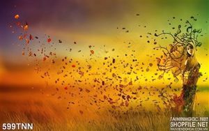 Tranh thiên nhiên dán tường đẹp