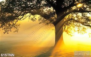 Tranh thiên nhiên treo tường đẹp