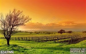 Tranh thiên nhiên treo tường độc đáo