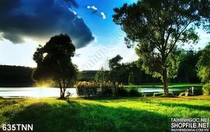 Tranh thiên nhiên đẹp độc đáo