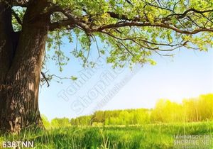 Tranh thiên nhiên cây trang trí nội thất