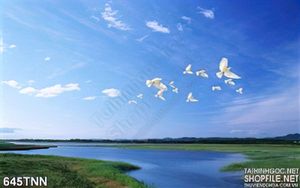 Tranh thiên nhiên bầu trời trong xanh