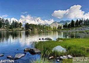 Tranh thiên nhiên trang trí treo tường