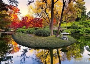 Tranh thiên nhiên mùa thu treo tường độc đáo
