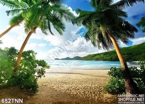 Tranh thiên nhiên biển du lịch