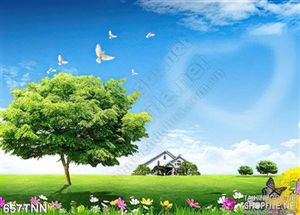 Tranh thiên nhiên trang trí phòng khách
