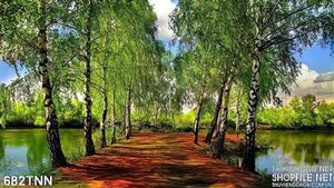 Tranh thiên nhiên con đường trên sông