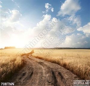 Tranh thiên nhiên con đường trên cánh đồng