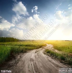 Tranh thiên nhiên con đường