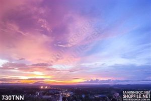 Tranh bầu trời mùa tím