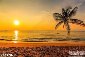 Tranh bình minh trên biển đẹp độc đáo