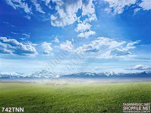 Tranh thiên nhiên trang trí treo tường đẹp