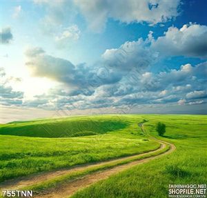 Tranh thiên nhiên cánh đồng cỏ đẹp