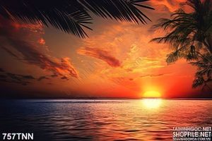 Tranh thiên nhiên mặt trời lặn