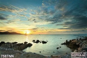 Tranh bình minh trên biển đẹp độc đáo