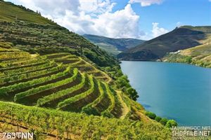 Tranh thiên nhiên ruộng bậc thang trang trí treo tường