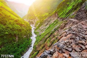 Tranh thiên nhiên suối trang trí phòng khách