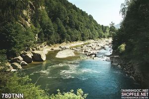 Tranh thiên nhiên dòng sông đẹp