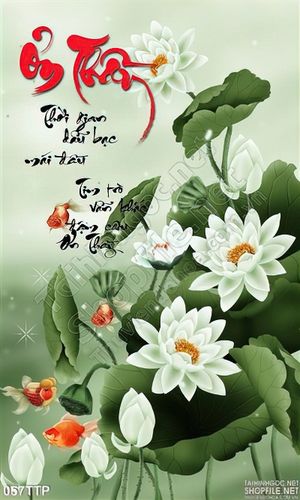 Tranh thư pháp ơn thầy