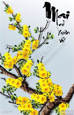 Tranh thư pháp Mai nở xuân về