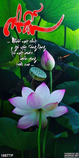 Tranh thư pháp chữ nhẫn đẹp